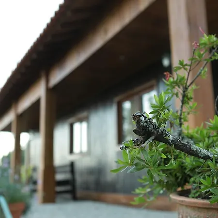 Casa de Férias Turismo Homes Quinta Leiras De Mondim *